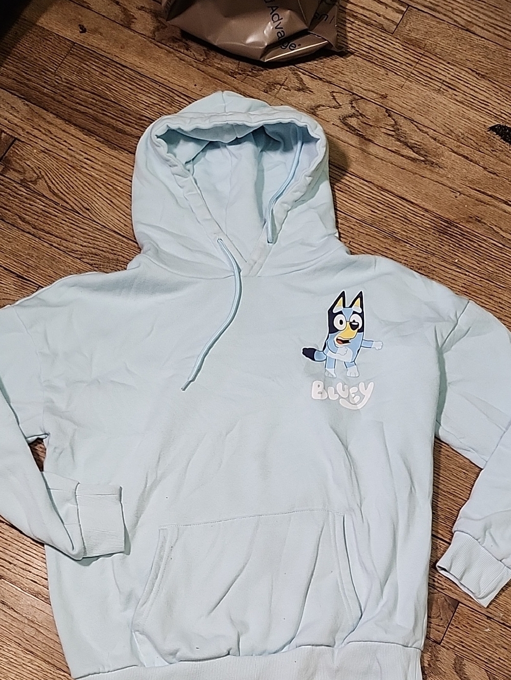 Light Blue Hooded Sweatshirt